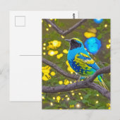 Colorful Fantasy Blue and Yellow Bird Briefkaart (Voorkant / Achterkant)