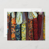 Colorful Flint of Indian Corn Briefkaart (Voorkant / Achterkant)