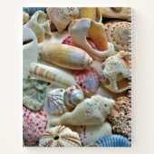 Colorful Florida Seashells Personalized Journal Notitieboek (Achterkant)