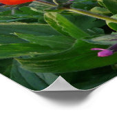 Colorful Flower Bed with red poppies Poster (Hoek)