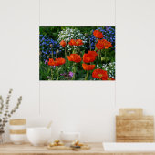 Colorful Flower Bed with red poppies Poster (Keuken)