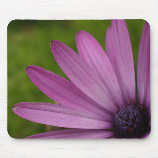 Colorful flower mousepad paars african daisy gift muismat (Voorkant)