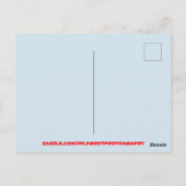 Colorful Flowering Cactus Garden Briefkaart (Achterkant)