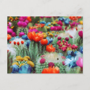 Colorful Flowering Cactus Garden Briefkaart