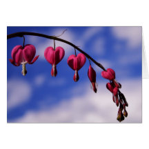 [Colorful Flowers] Bloeding Heart Wenskaart