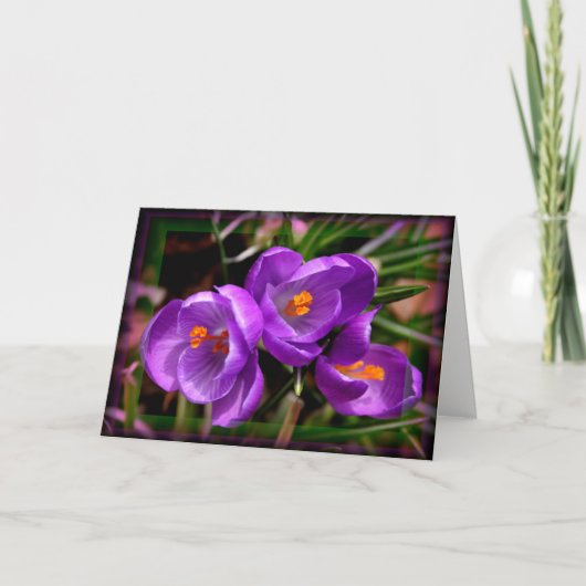 [Colorful Flowers] Crocus vernus - Elke keer Kaart (Voorkant)