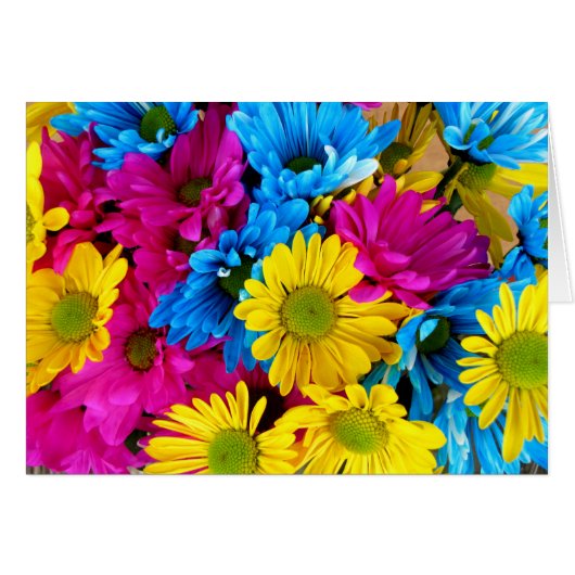 Colorful Flowers, Daisies - Blue Yellow Pink (Voorkant Horizontaal)