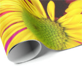 Colorful Flowers, Daisies - Blue Yellow Pink Cadeaupapier (Rol Hoek)