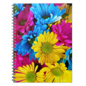 Colorful Flowers, Daisies - Blue Yellow Pink Notitieboek (Voorkant)