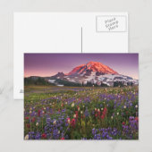 Colorful Flowers in Rainier National Park Briefkaart (Voorkant / Achterkant)