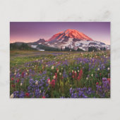 Colorful Flowers in Rainier National Park Briefkaart (Voorkant)