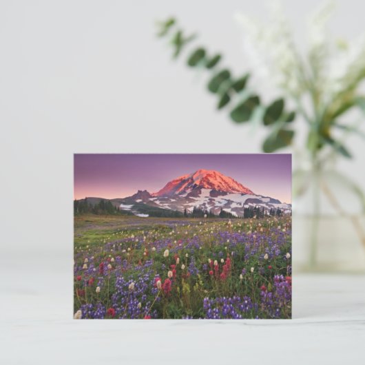 Colorful Flowers in Rainier National Park Briefkaart (Staand voorkant)