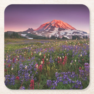 Colorful Flowers in Rainier National Park Kartonnen Onderzetters