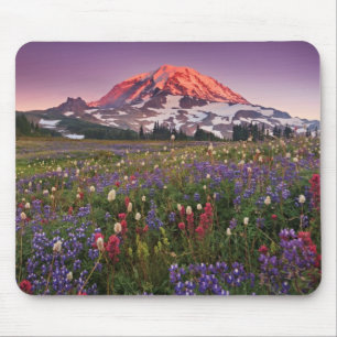 Colorful Flowers in Rainier National Park Muismat