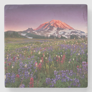 Colorful Flowers in Rainier National Park Stenen Onderzetter