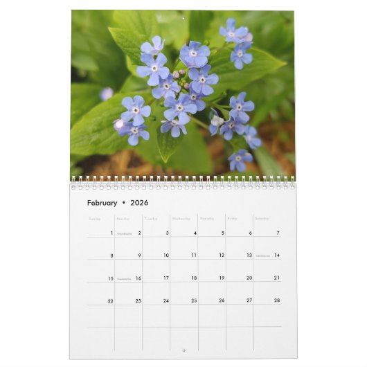 Colorful Flowers Kalender (Feb 2026)