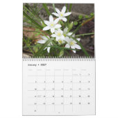 Colorful Flowers Kalender (Jan 2027)