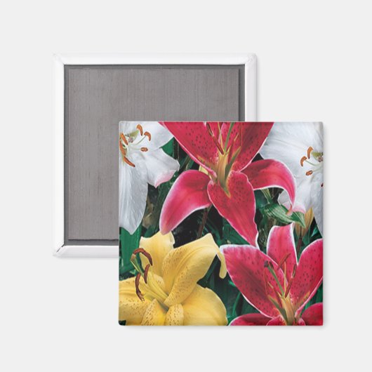 Colorful Flowers Magnet (Voorkant / Achterkant)