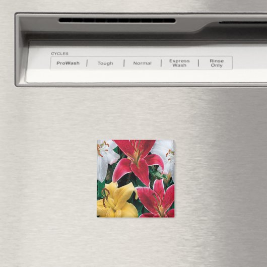 Colorful Flowers Magnet (Insitu (Vaatwasser))