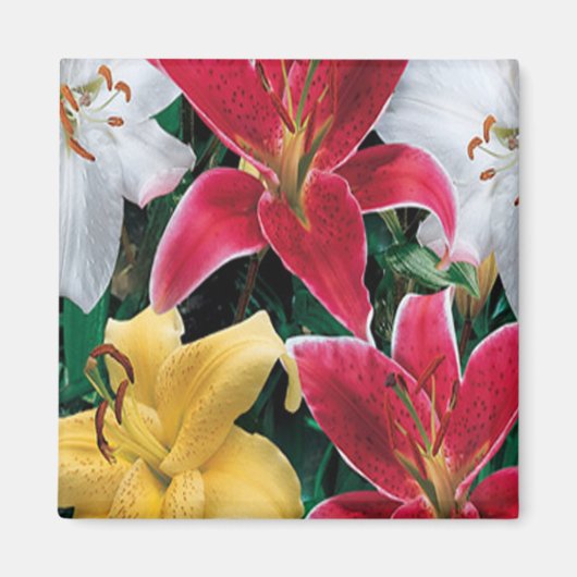 Colorful Flowers Magnet (Voorkant)