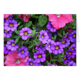 [Colorful Flowers] Paarse Calibrachoa-Kaart