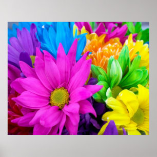 Colorful Flowers Poster
