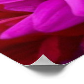 Colorful Flowers Poster (Hoek)