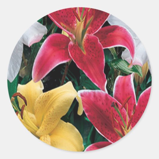 Colorful Flowers Stickers (Voorkant)