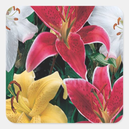 Colorful Flowers Stickers (Voorkant)
