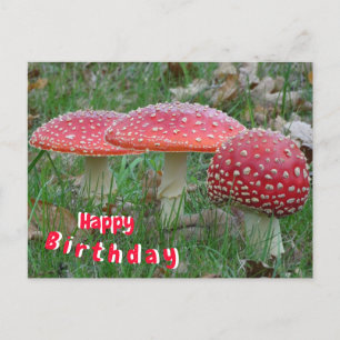 Colorful Fly Amanitas Happy Birthday Briefkaart