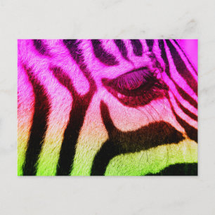 Colorful Funky Zebra Briefkaart