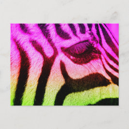 Colorful Funky Zebra Briefkaart