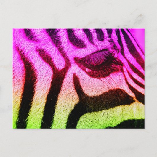 Colorful Funky Zebra Briefkaart (Voorkant)