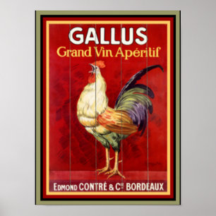 Colorful Gallus Vintage en Poster 12 x 16