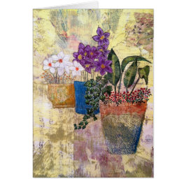 Colorful Garden Flowers