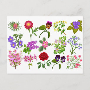 Colorful Garden Flowers Pocket Calendar Briefkaart