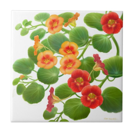 Colorful Garden Nasturtium Flowers Tile Tegeltje (Voorkant)