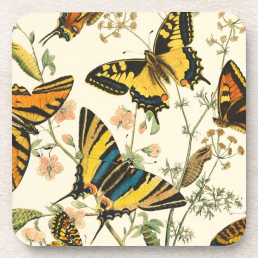 Colorful Gathering of Butterflies and Caterpillars Bier Onderzetter (Voorkant)