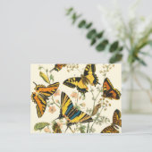 Colorful Gathering of Butterflies and Caterpillars Briefkaart (Staand voorkant)