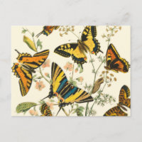 Colorful Gathering of Butterflies and Caterpillars