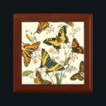 Colorful Gathering of Butterflies and Caterpillars Cadeaudoosje<br><div class="desc">How much more colorful can you get? This gathering of butterflies and caterpillars pops with pigment,  assaulting the eyes with beauty. Get your print today.</div>