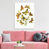 Colorful Gathering of Butterflies and Caterpillars Canvas Afdruk (Insitu (Woonkamer))