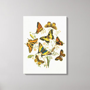 Colorful Gathering of Butterflies and Caterpillars Canvas Afdruk