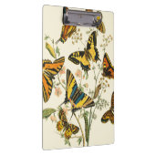 Colorful Gathering of Butterflies and Caterpillars Klembord (Rechts)