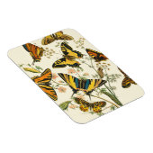 Colorful Gathering of Butterflies and Caterpillars Magneet (Rechterzijde)