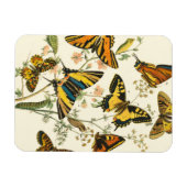 Colorful Gathering of Butterflies and Caterpillars Magneet (Horizontaal)