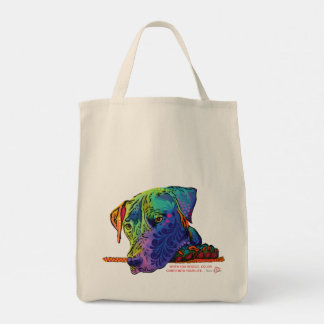 Colorful George Canvas tas