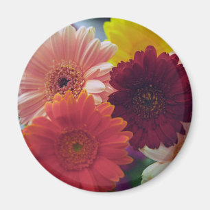 Colorful Gerbera Daisy Flower koelkast Magnet