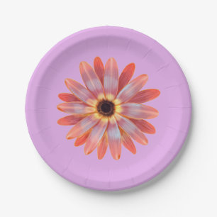 Colorful Gerbera Daisy Paper Bord