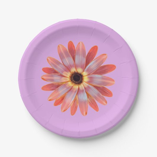 Colorful Gerbera Daisy Paper Bord (Voorkant)